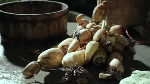 Lotus Root 蓮藕的花