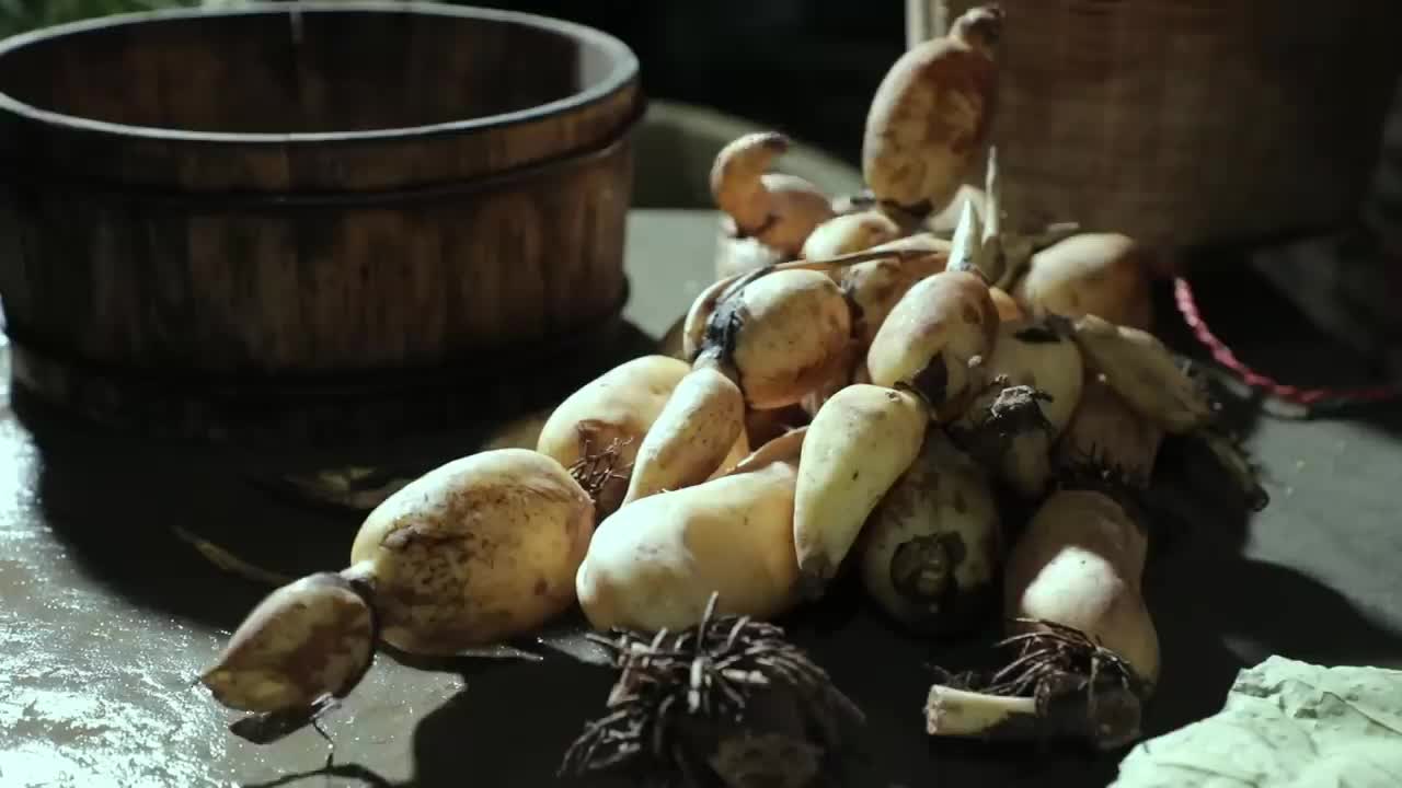Lotus Root 蓮藕的花