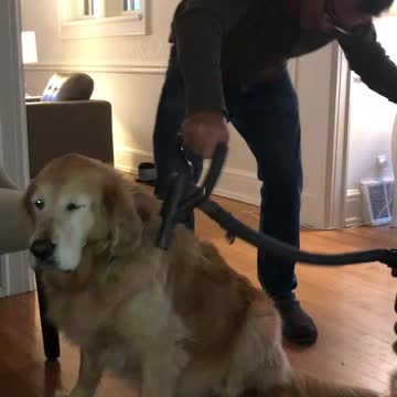 Harold Shedding Managment