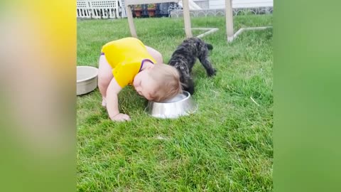 Cute babies playing with dog and cat