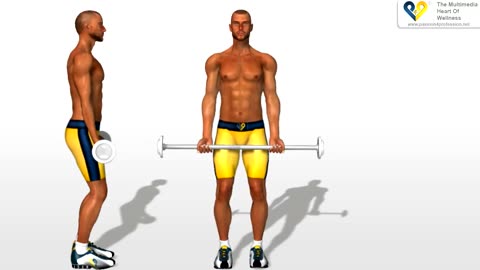 Biceps Exercises: Barbell Curls