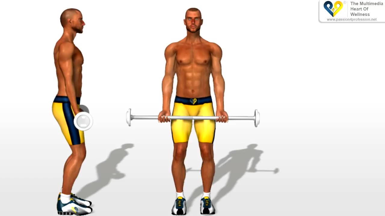 Biceps Exercises: Barbell Curls
