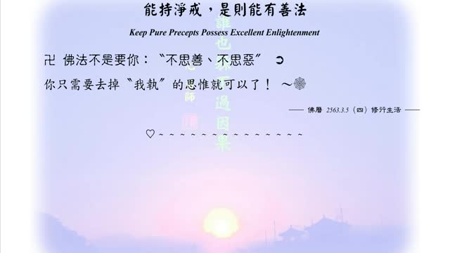 219【佛法不是要你：〝不思善、不思惡〞】630305