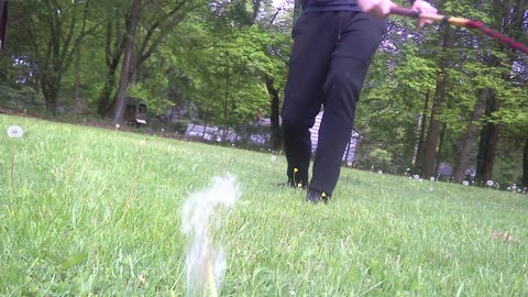 Slow Mo Monday!