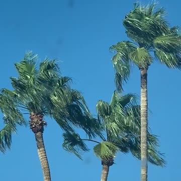 Ahhhh Enjoy, Relax and Happy Independence Day!