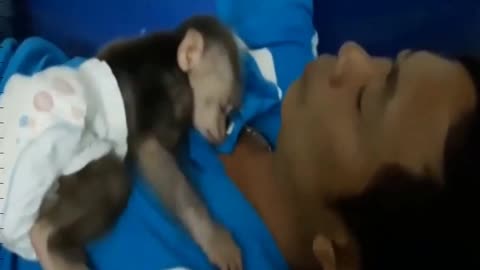 Sweet Baby Monkeys Sleeping!!!🤣😎