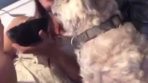 Girlfriend's Dog Left Totally Indignant After Fart