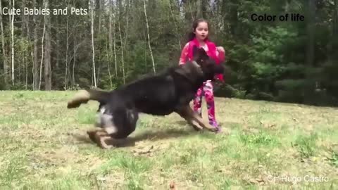 IMPRESSIVE! New techniques to teach your dog to protect his family!