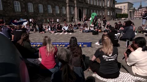 Supporters of anti-whaling activist hold sit-in at Danish Parliament