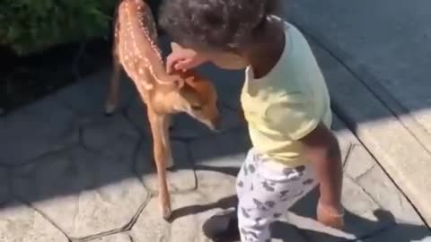 AWW SO CUTE ! Cutest baby animals Videos Compilation Cute moment of the Animals - Cutest Animals # 9