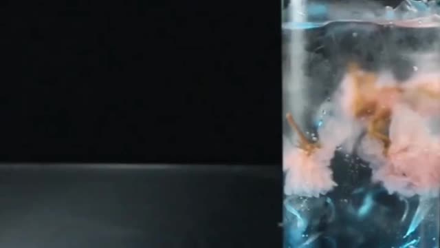 CANCER|| COCKTAIL