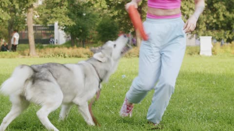 women playing with her pet
