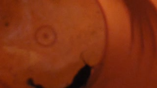 Kept a small one