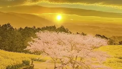 Beautiful view 🥰😍