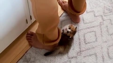 So very cute 🥰