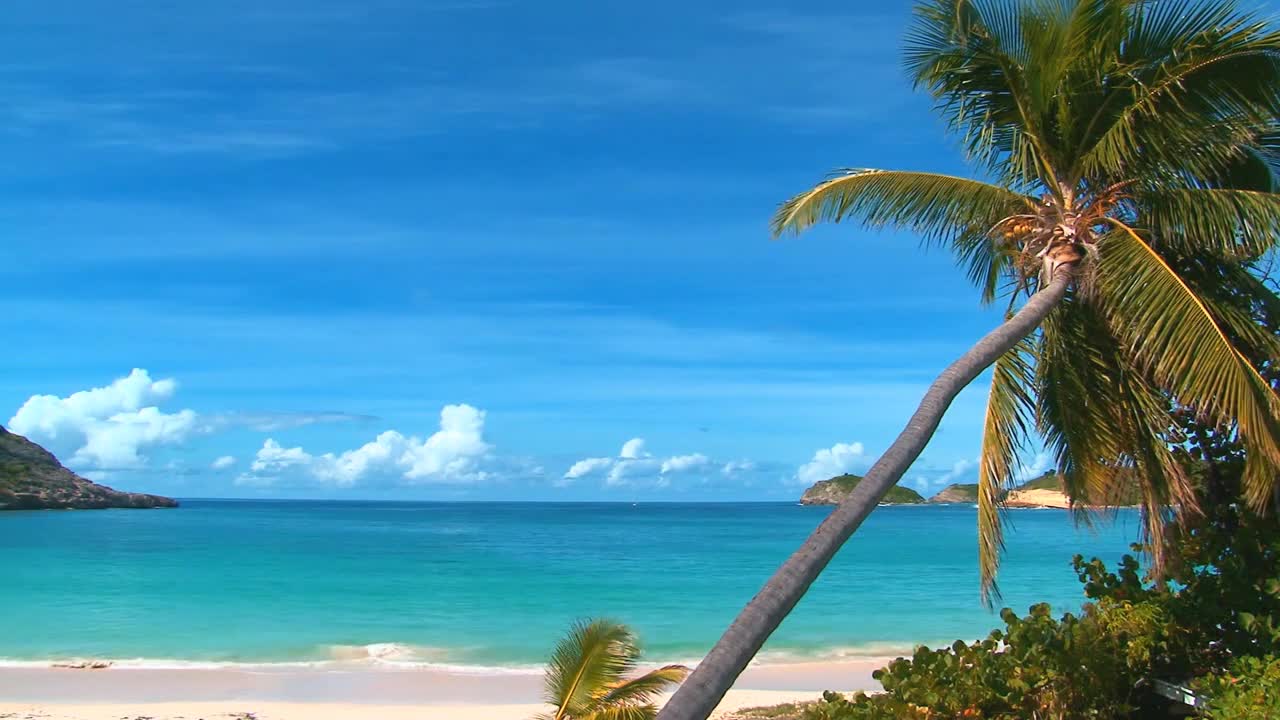 Animated wallpaper of the Maldives Islands for TV full HD