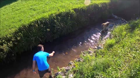 Man Playing With His Dog In The Stream