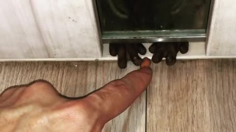 Nut Drives Him Nuts