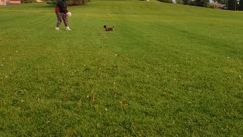 Playing ball