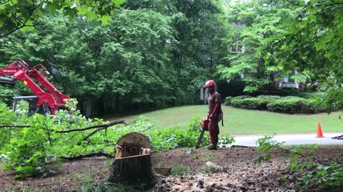 Mini wood cutter
