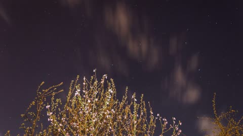 Nice Time Lapse Video Of Sky During Night
