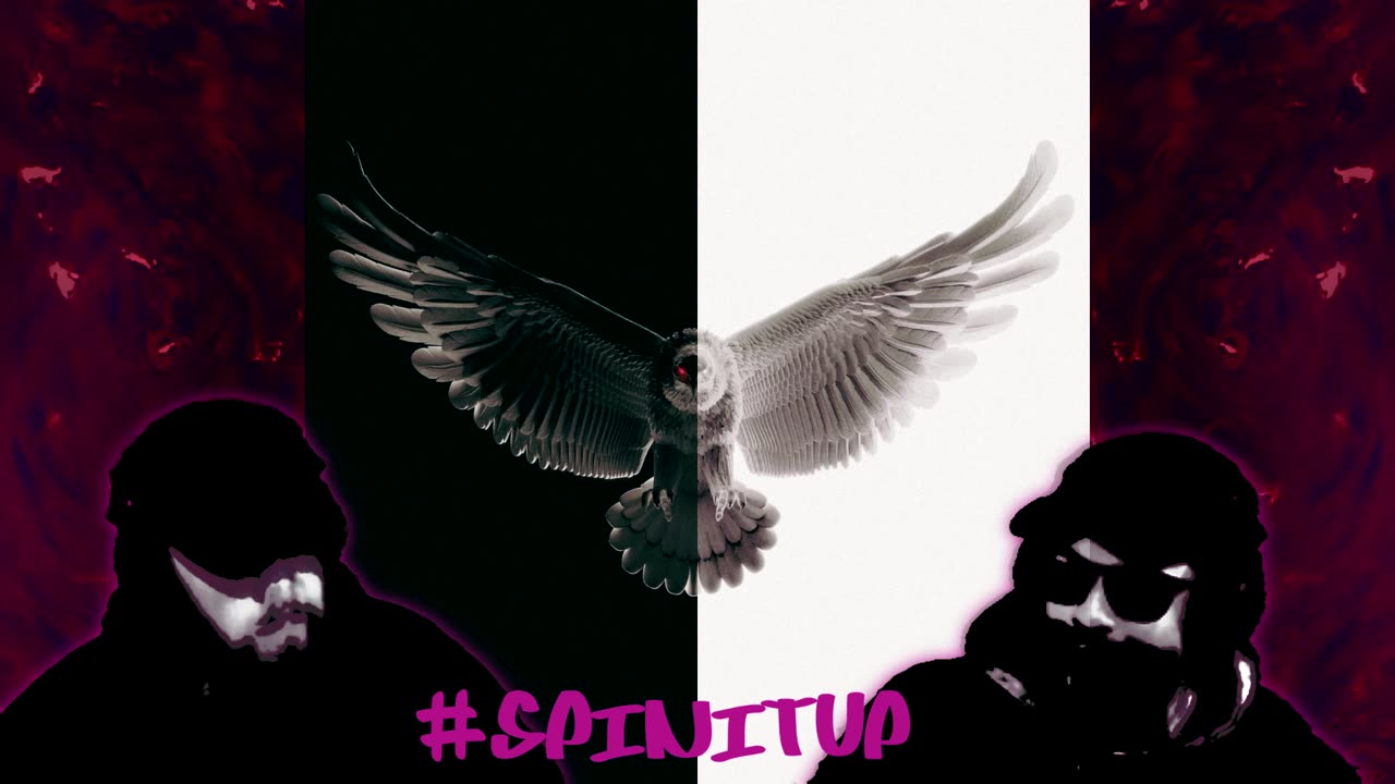 SPINITUP X LOWKEA