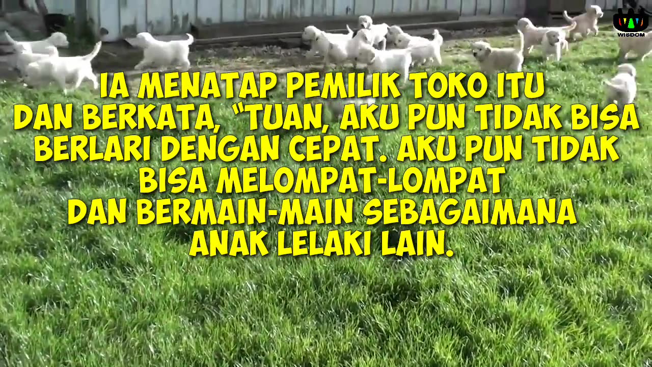CERITA KETENANGAN HIDUP WISDOM - SETIAP MAKHLUK TUHAN BERHARGA