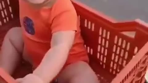 cute babies videos