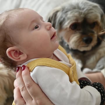 The dog is sad because he is not loved