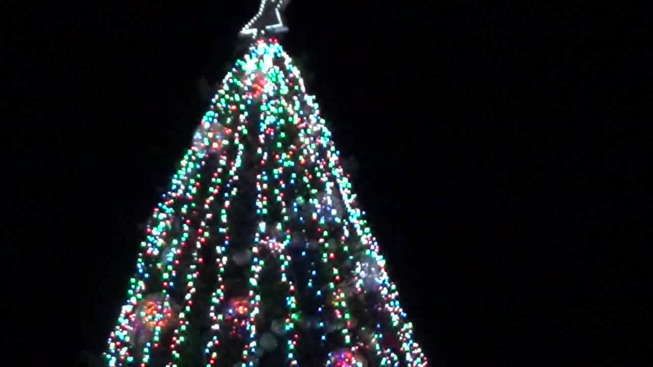 2015 Christmas in the Park — Tree Lighting Ceremony