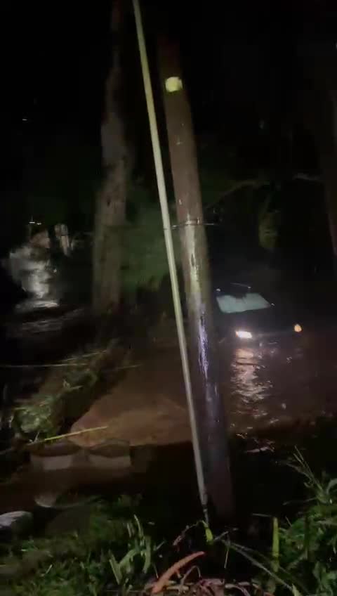 Driver escapes through window of car on flooded road