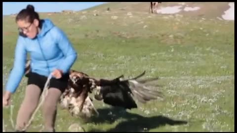 Eagle Attack