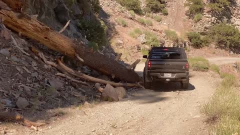 East Blue Ridge Road To Lupine Campground Wrightwood, CA