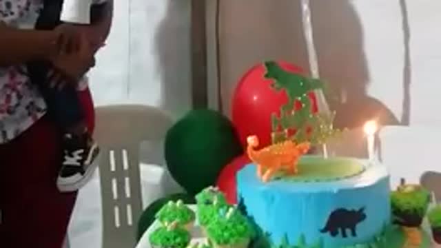 Toddlers reaction to his birthday song