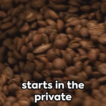 The Coffee Controversy: Elites vs Everyday People