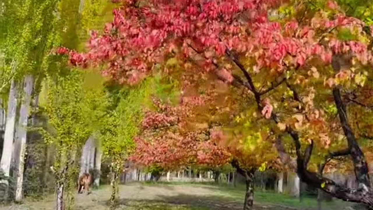🇵🇰 Beautiful Pakistan 🇵🇰