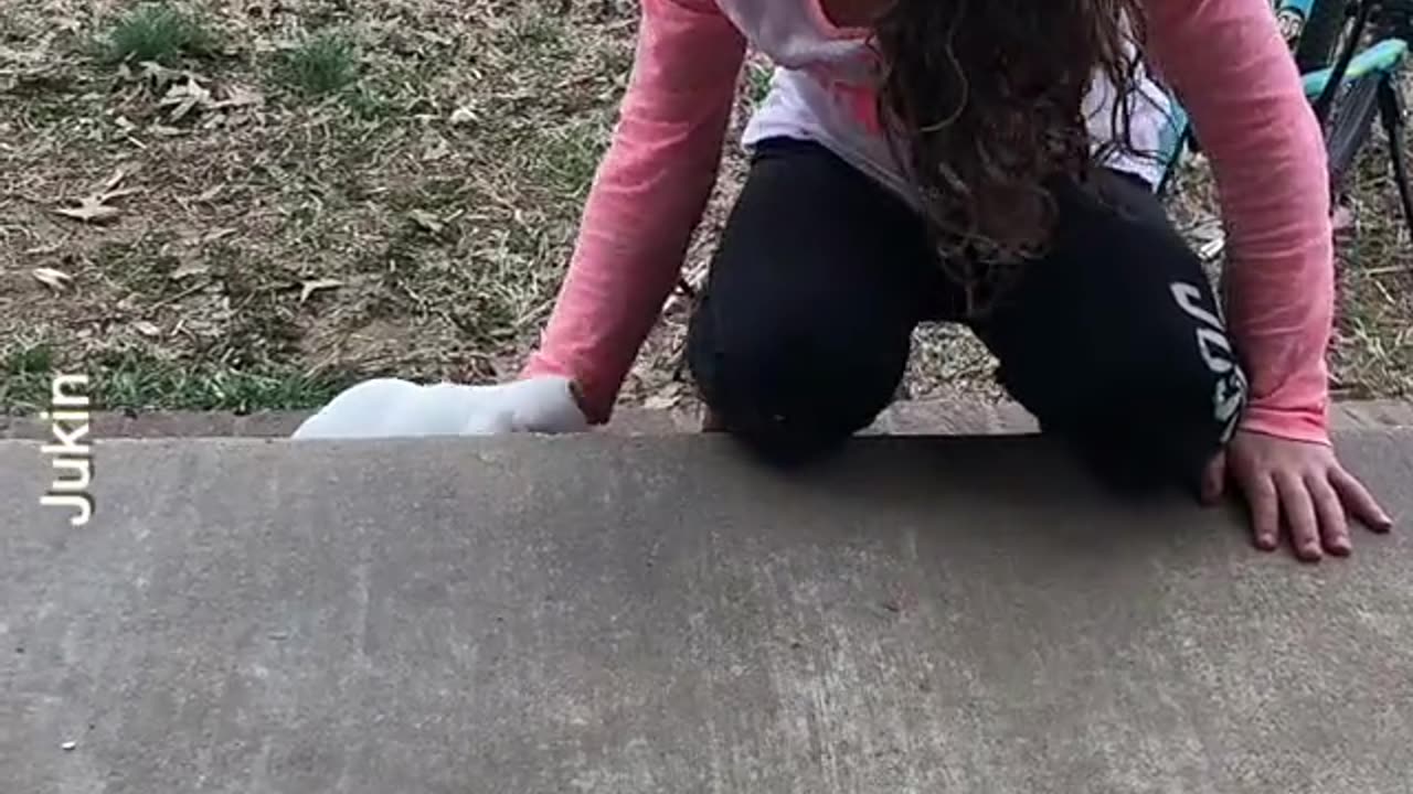 AWE 🤗A LITTLE GIRL TEACHING HER PUPPY TO CLIMB UP THE PORCH STAIRS