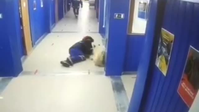 Try not to laugh funny animals 😹 #shorts