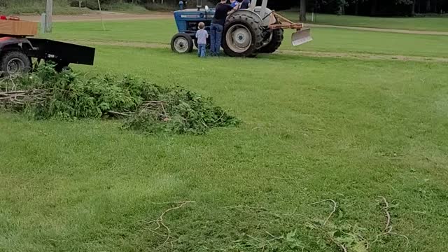 Tree Chopping Day - tractor ride