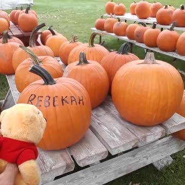 COMMUNIST CHINESE LOSE WHEN WE TRUST IN JESUS.