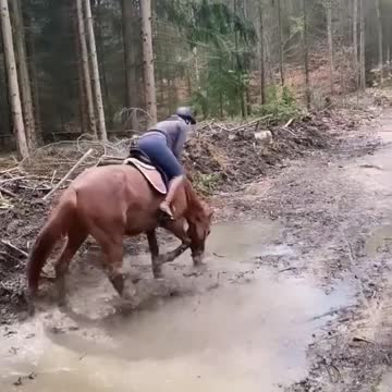When you discover muddy puddles