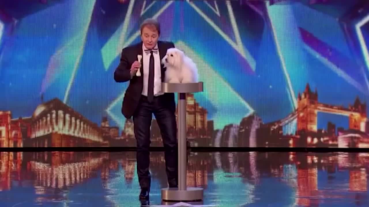 6 Best Singing Dogs EVER On Got Talent! But Which Dog WINS?