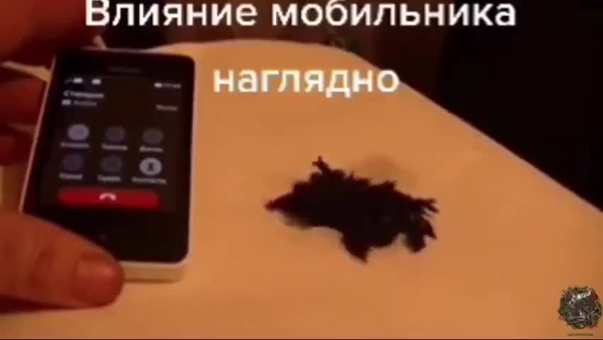 Graphene Reacting To EMF Field From A Cell Phone