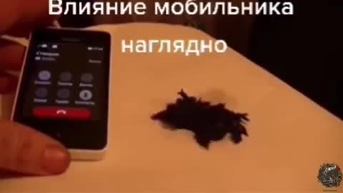 Graphene Reacting To EMF Field From A Cell Phone