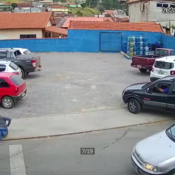 Watch out for Dog when you cross the street.