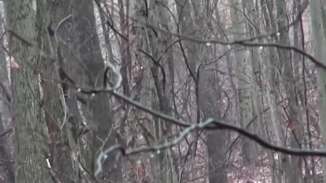 Ghosts and Demons Captured