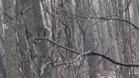 Ghosts and Demons Captured