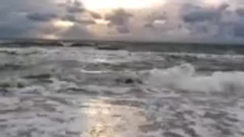 Waves in the ocean