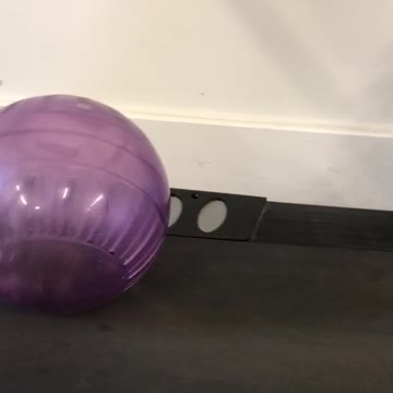 Hamster gets good exercise on a treadmill!