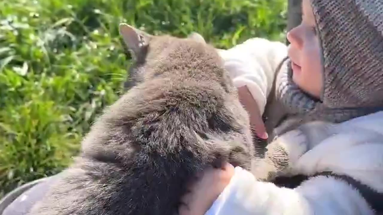 Cat hugs the baby 🥹😻❤️